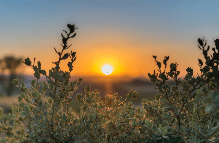 sunset in fields - Peaceful scene symbolising inner calm and transformation