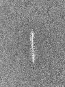 Jackie Slora - leaf in sand on beach - Finding your recharge button,